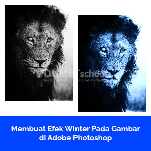 Membuat Efek Winter Pada Gambar di Adobe Photoshop